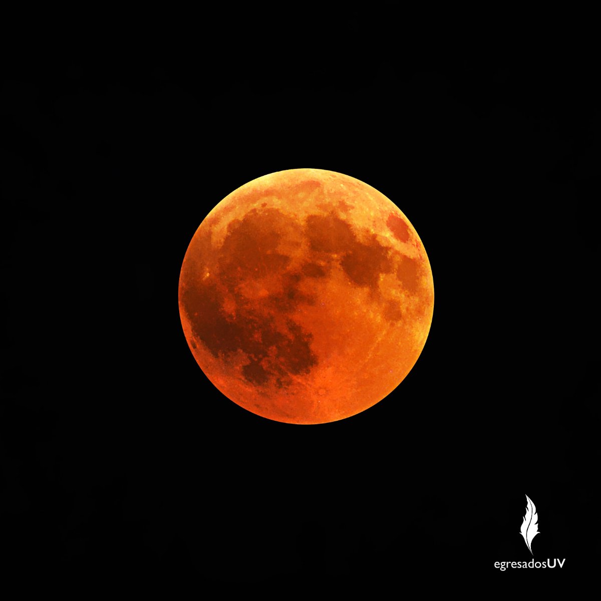 💚💙#EgresadoUV te informamos que hoy podremos apreciar un eclipse lunar, un fenómeno astronómico en el que la Tierra se interpone entre el Sol y la Luna, proyectando su sombra sobre nuestro satélite natural.✨🌕
⚜️✨¡No olviden mirar al cielo esta noche! 🌌🔭