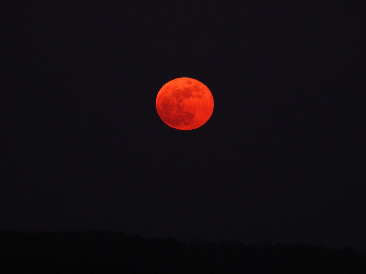 Dimitri Monin tweet media