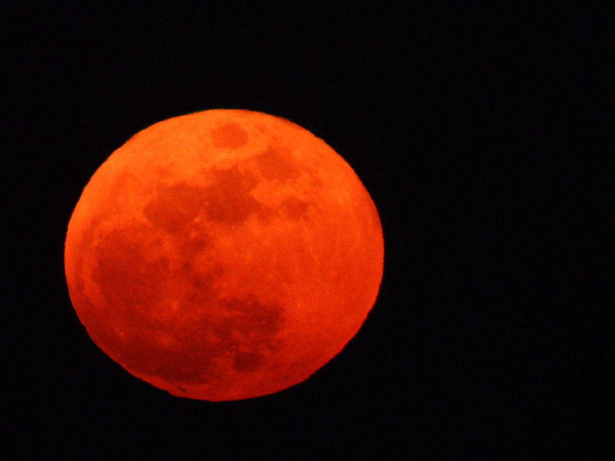 Dimitri Monin tweet media