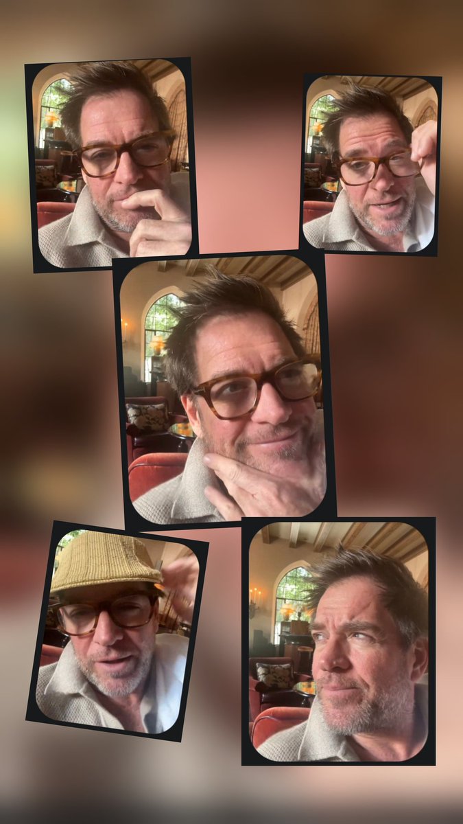 Gina Evans tweet media