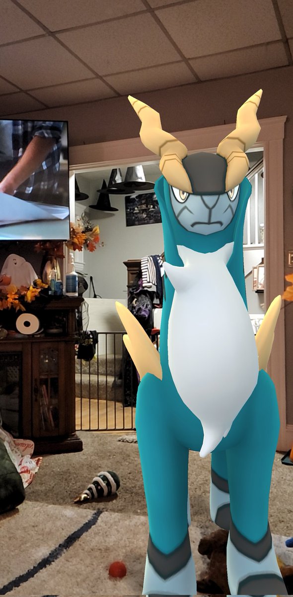 dribblehonorleg's tweet photo. @PokemonGoApp What's your favorite?
#whatisyourfavorite #PokemonGO https://t.co/UzmI2LMOfw