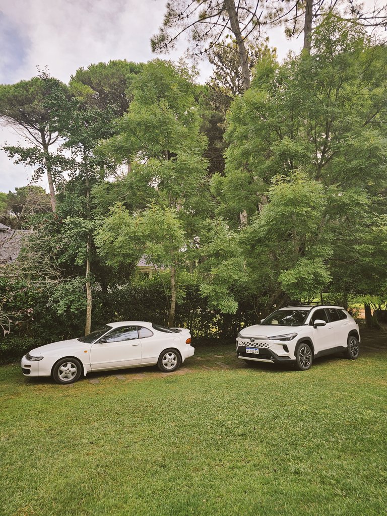 Roman Brunori tweet media