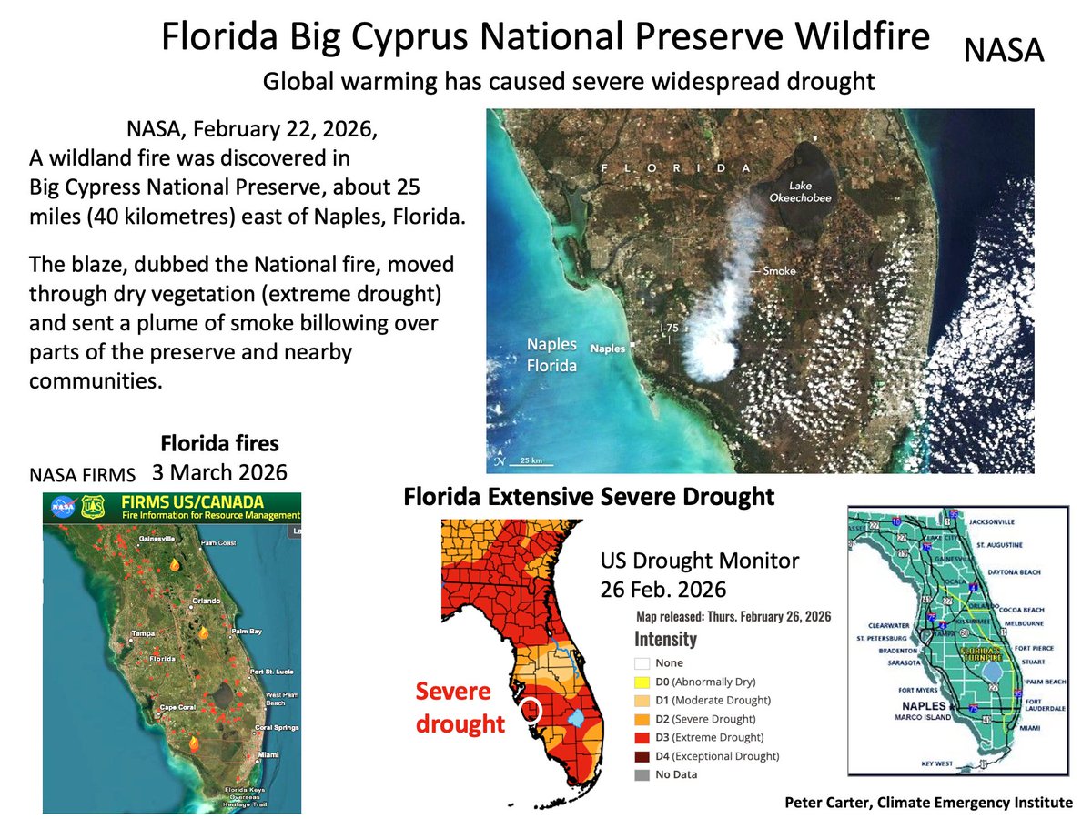 PCarterClimate's tweet image. NASA, BIG CYPRUS PRESERVE FORIDA WILDFIRE
NASA, February 22, 2026,  A wildland fire in  Big Cypress National Preserve. Dry vegetation in region of severe drought.
science.nasa.gov/earth/earth-ob…. #wildfire #climatechange
#globalwarming