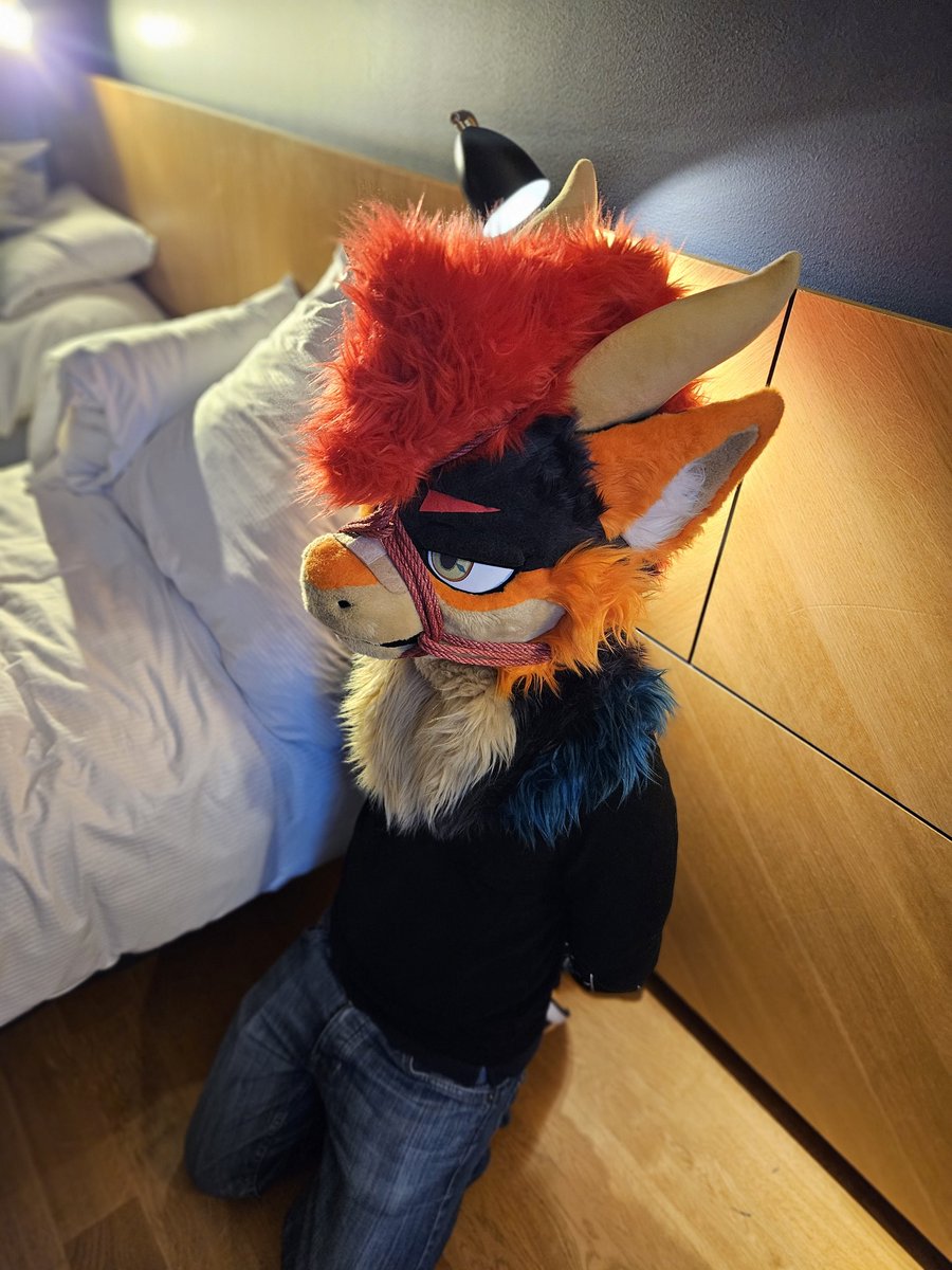 🇺🇦 Chee Rope Adventures 🇺🇦 tweet media