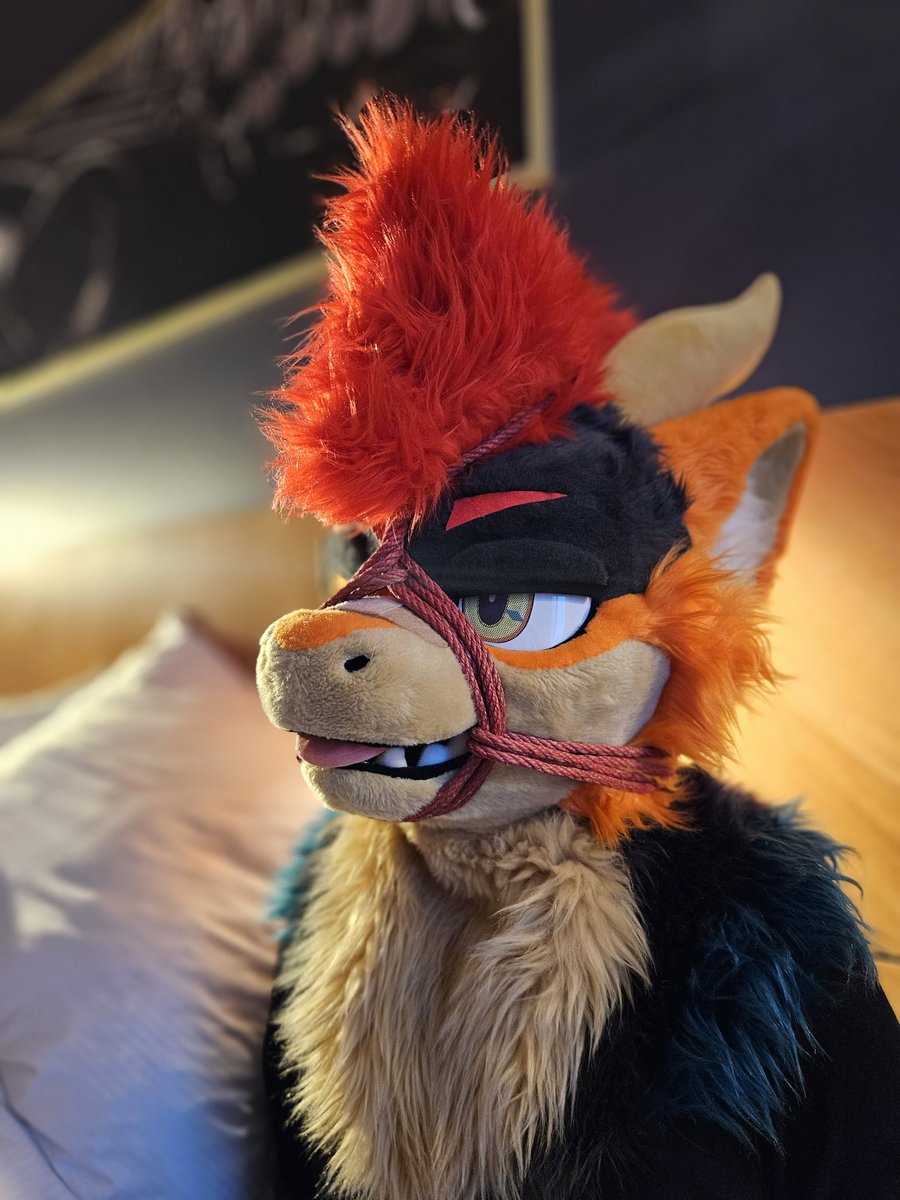 🇺🇦 Chee Rope Adventures 🇺🇦 tweet media