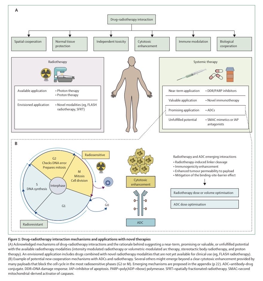 CarlottaB tweet media