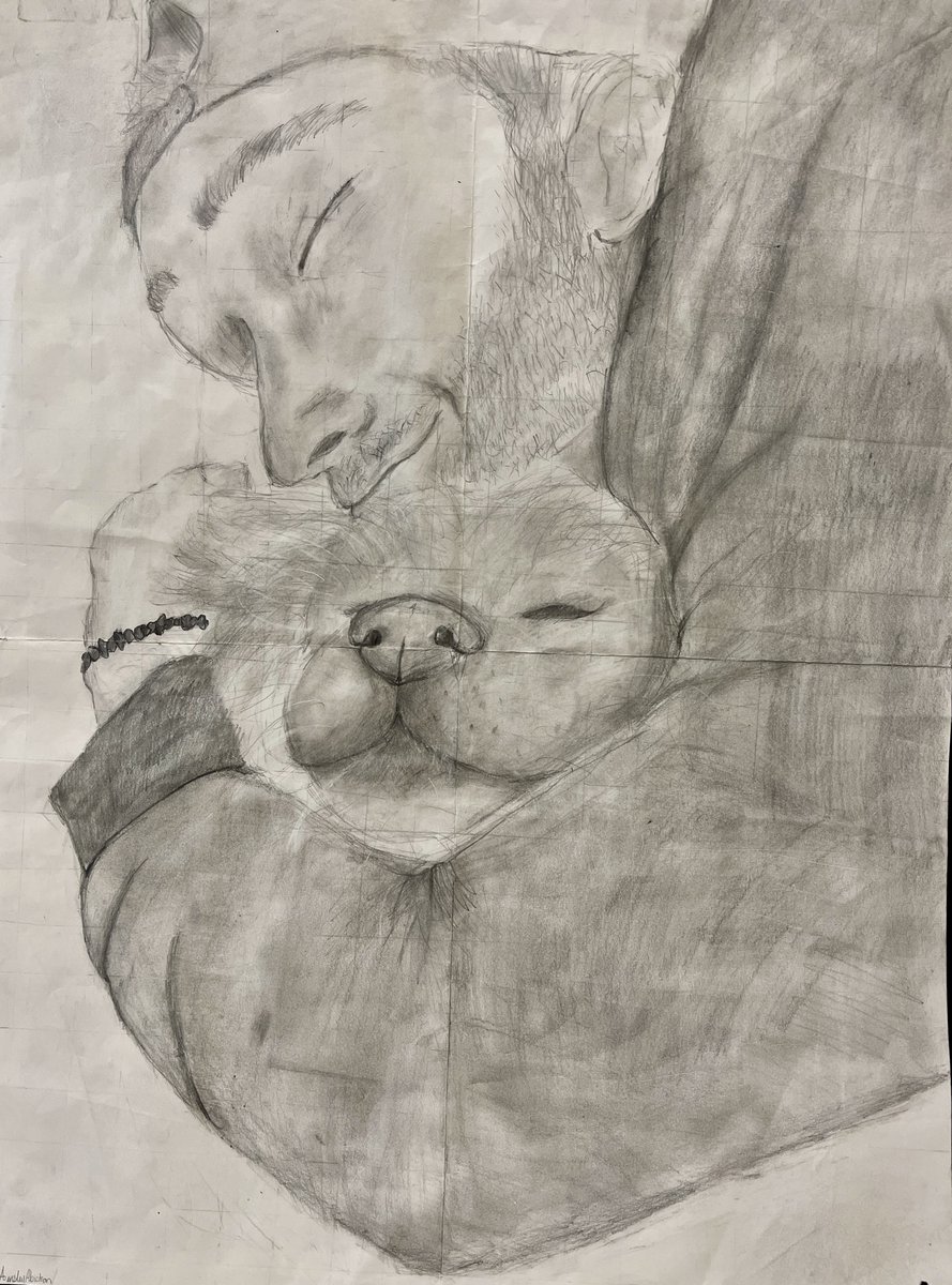 Clackamas Education Service District tweet media