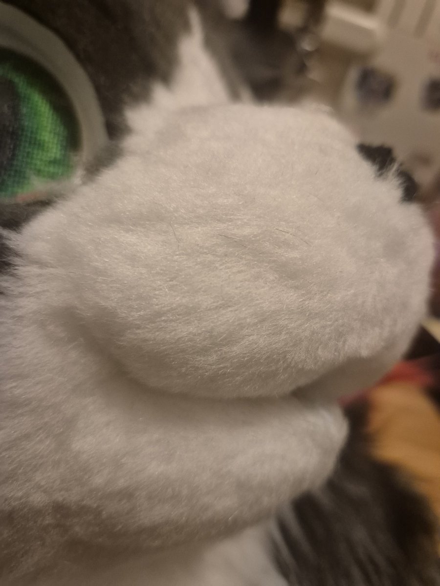 lemskeun's tweet photo. When your shaving skills are getting better and better ♡
#fursuit #fursuitmaker #furry #fursona #furryfandom https://t.co/NmM8sWMWLj