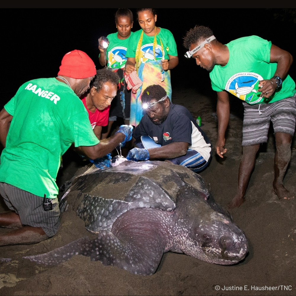 The Nature Conservancy tweet media