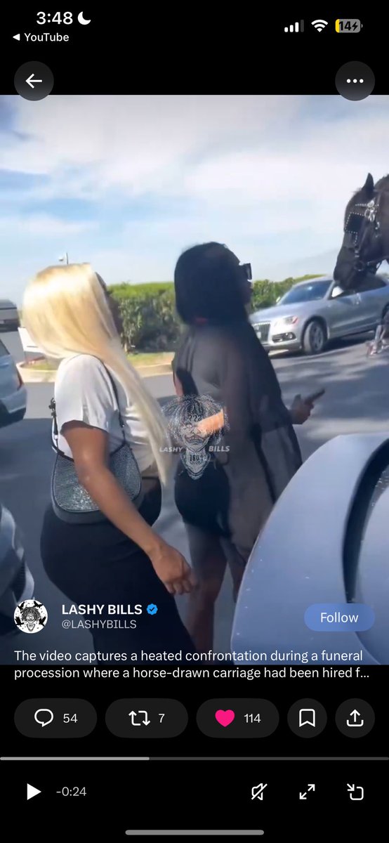 Obey Paca. tweet media