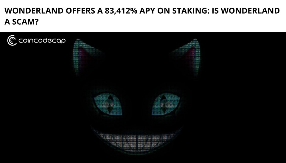 GiarcXBT tweet media