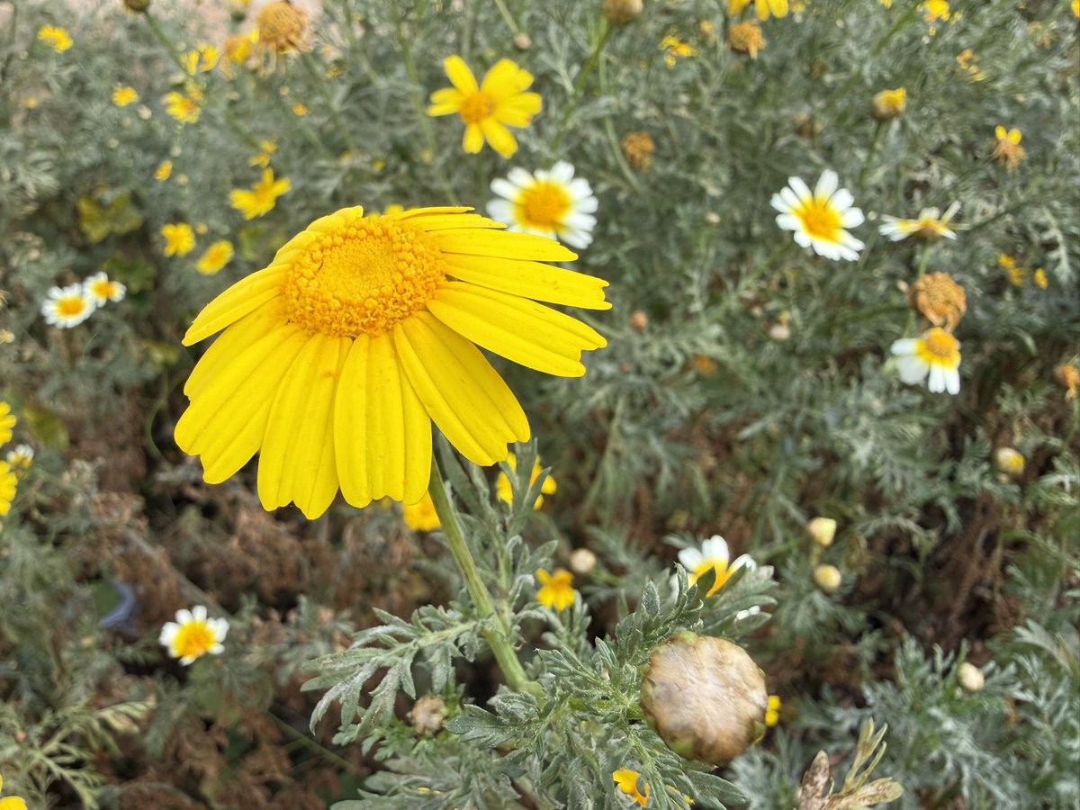 marina Zaliznyak @ bliss tweet media