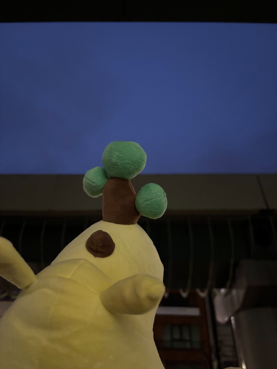 ☀️Good Luck！Morning！🌺 《FM NACK5》 (@GL_Morning) / Posts / X