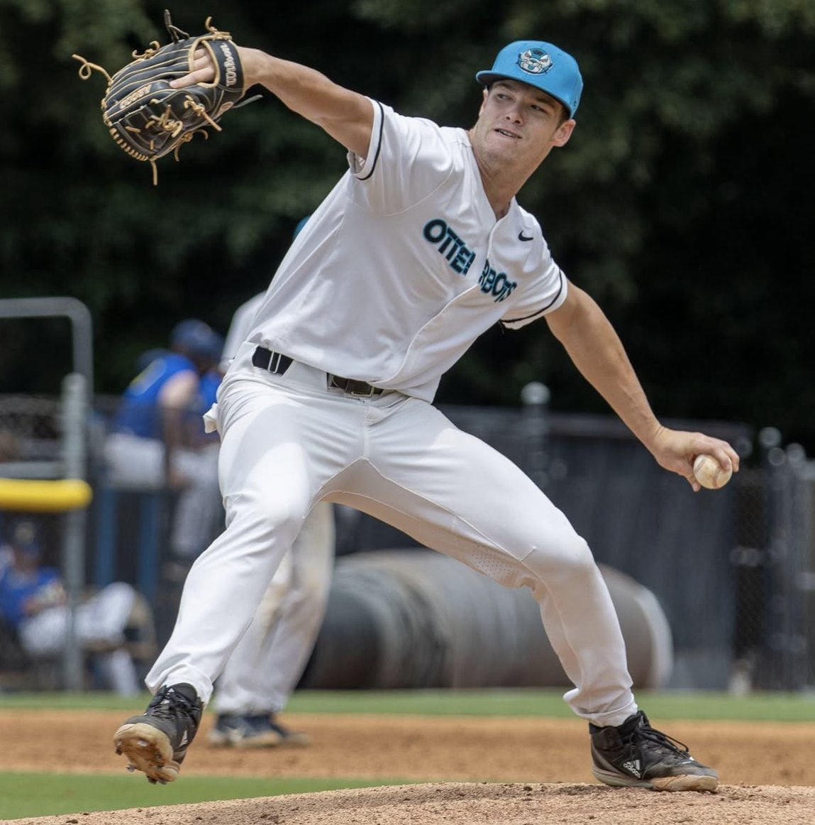 Appalachian League tweet media