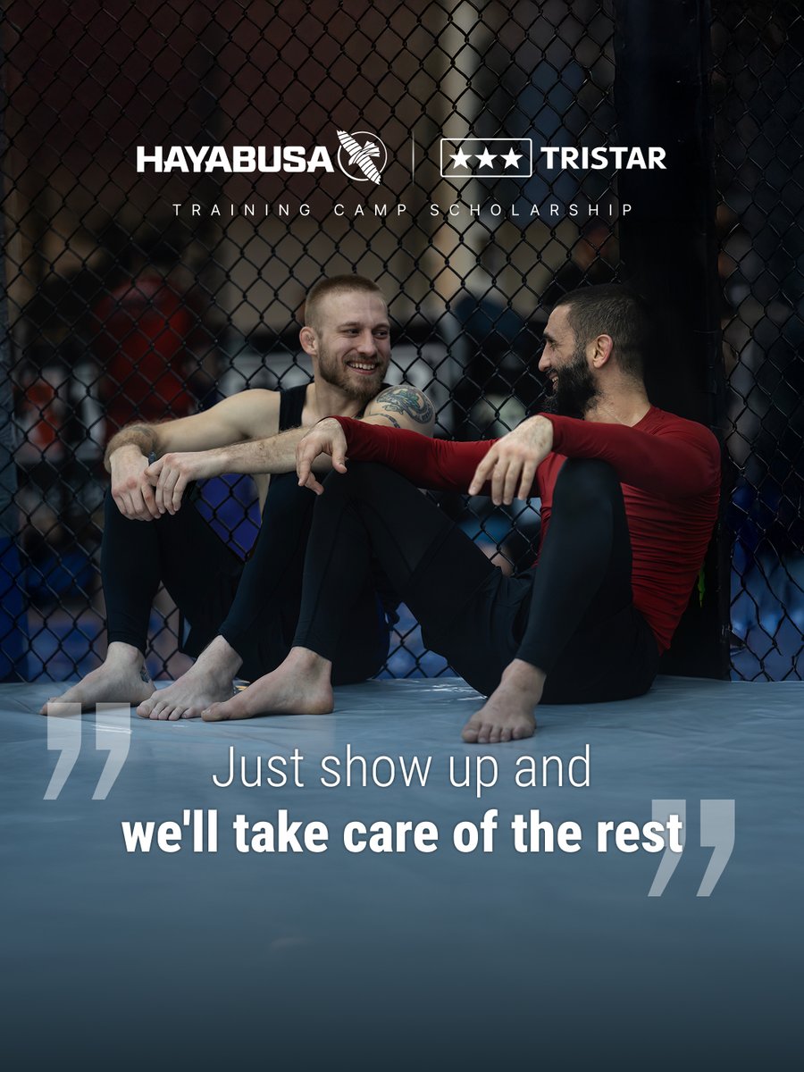 Hayabusa tweet media