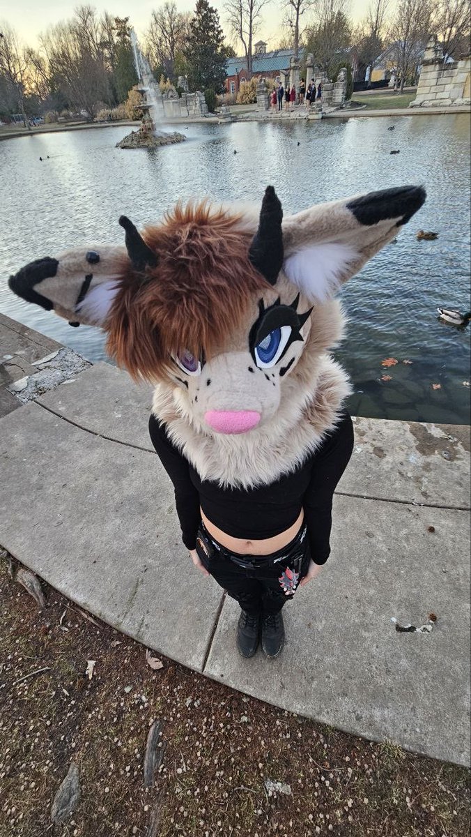 Asterfluffs tweet media