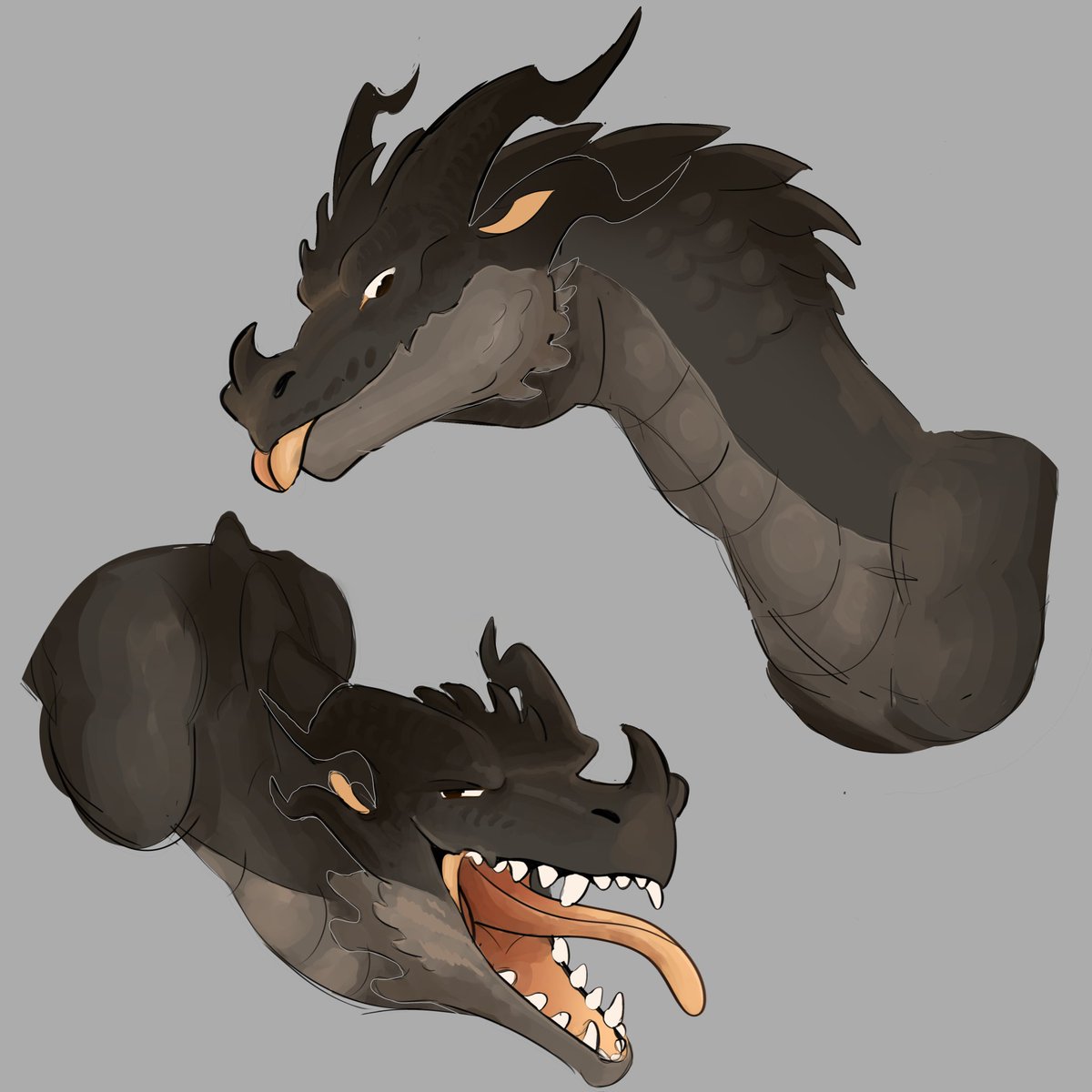 Naxos (@naxosnaxersprof) on Twitter photo 