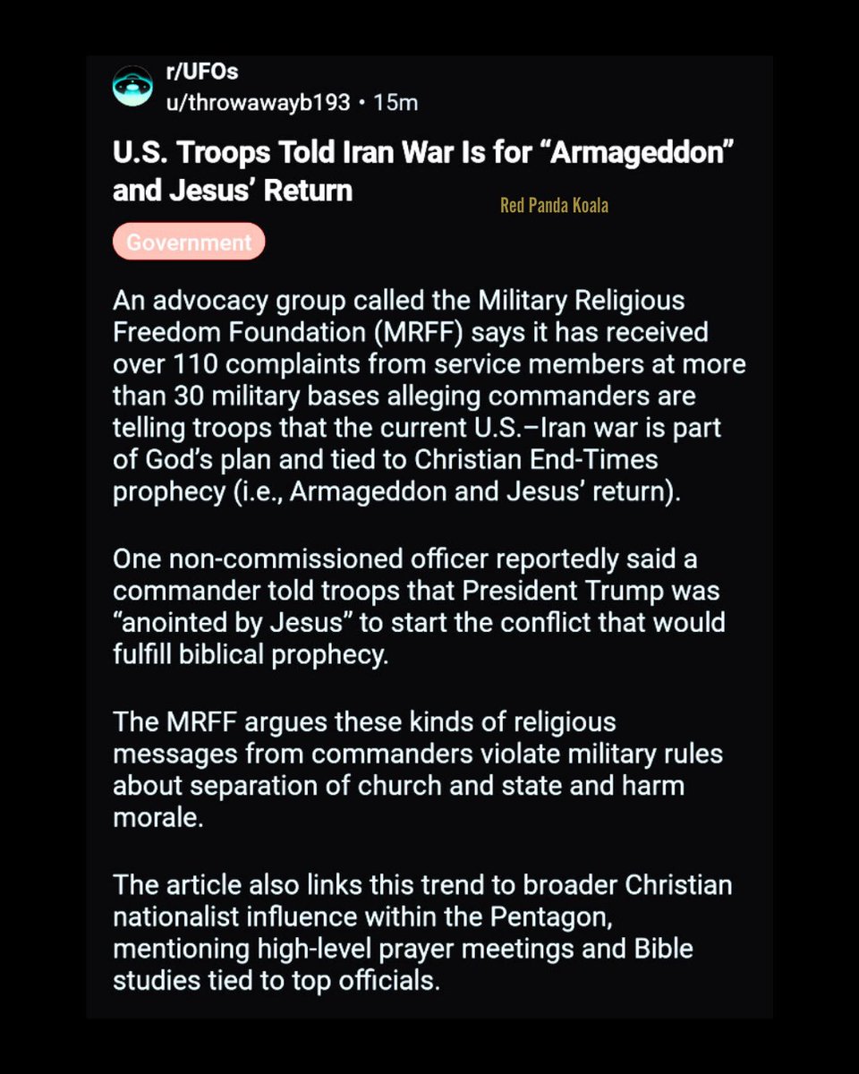 Red Panda Koala tweet media