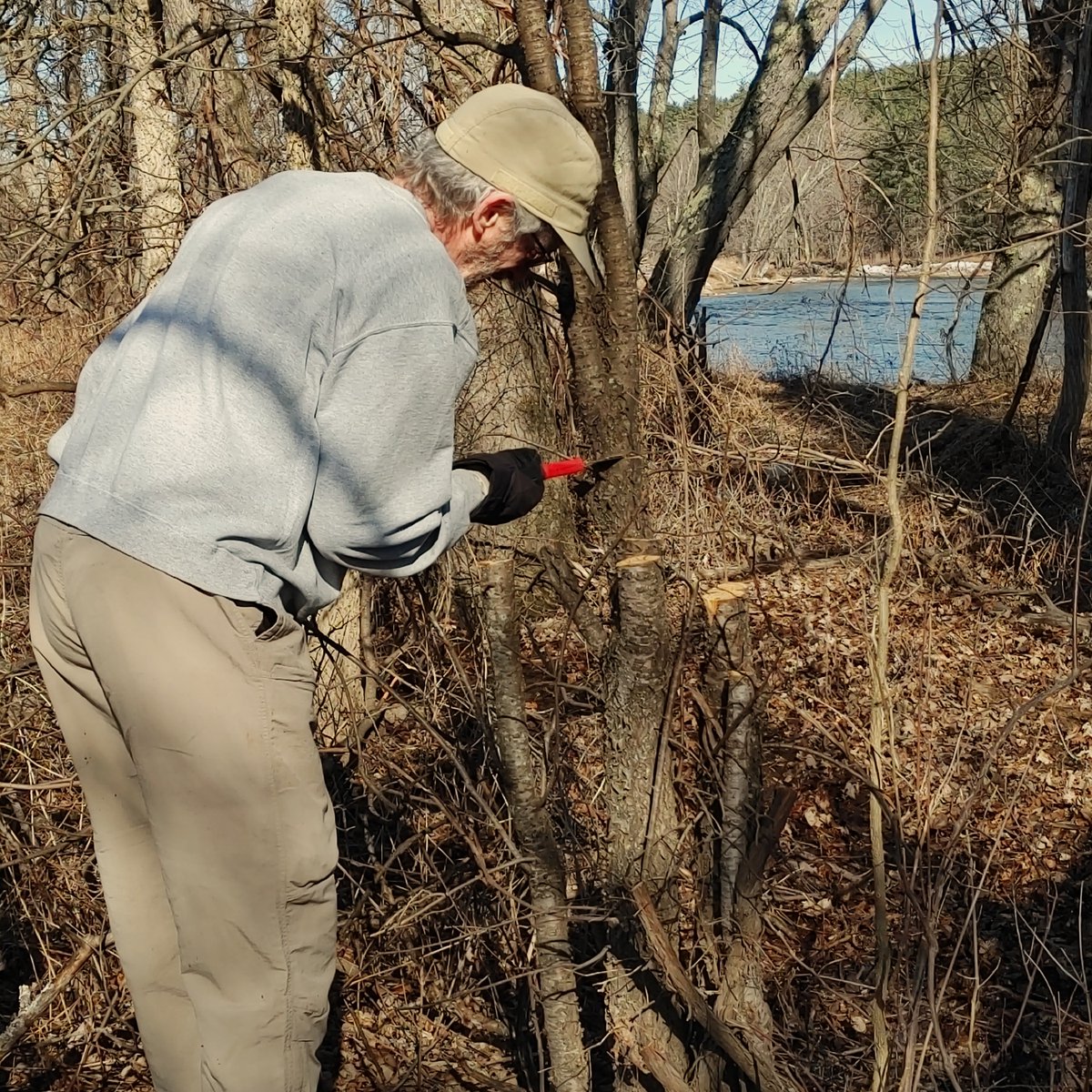 Ausable Freshwater Center tweet media