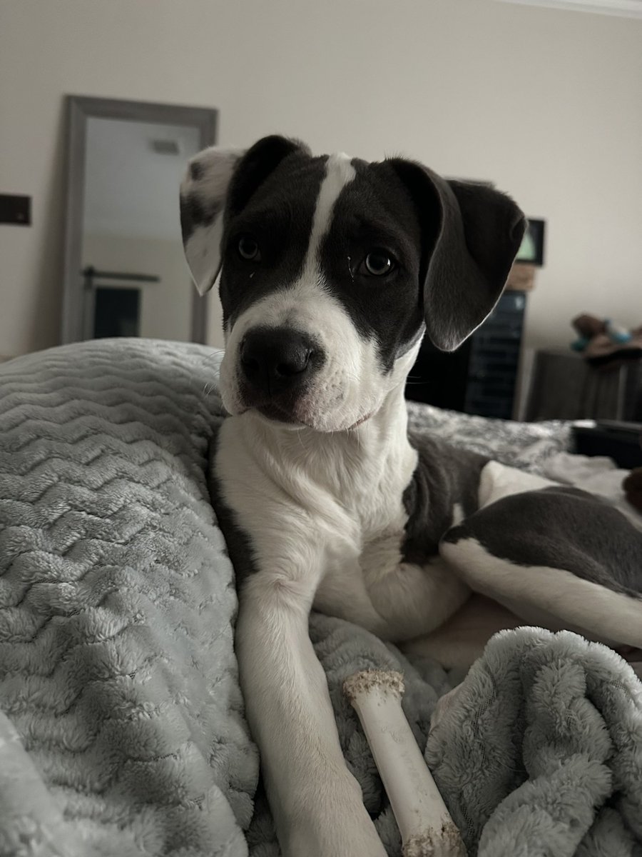 Corby Davidson tweet media