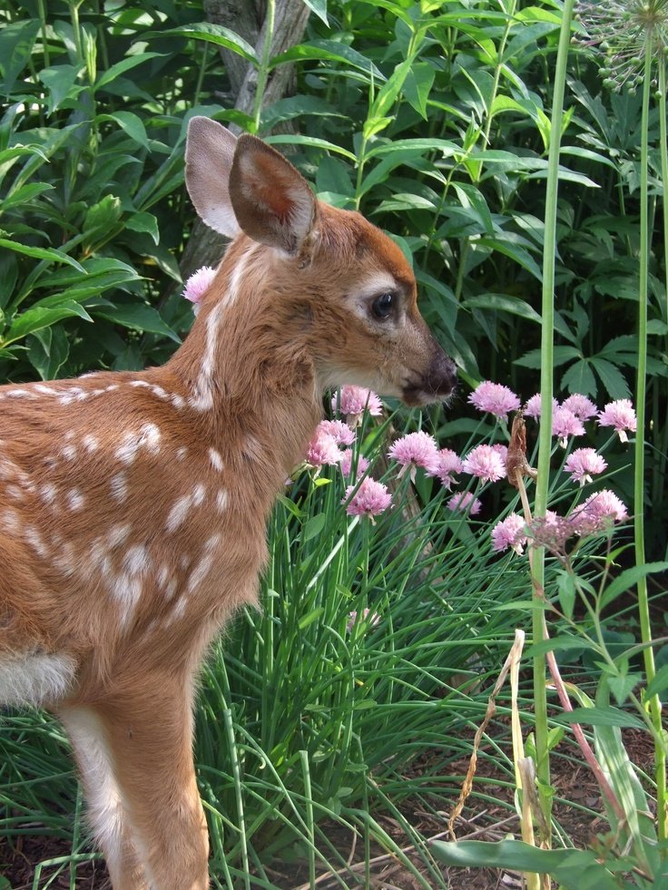 ᅠ ᅠ (@coffeeebreaak) on Twitter photo 