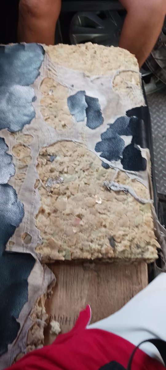 CANCUN VIVE tweet media