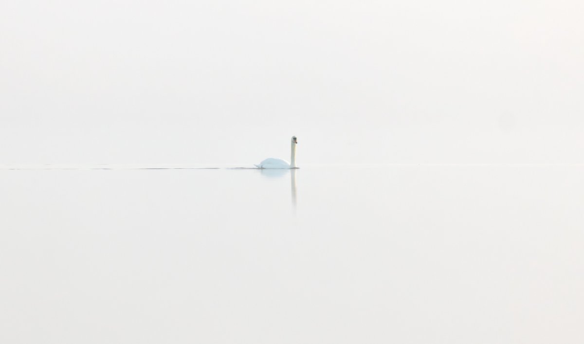 James Crombie tweet media