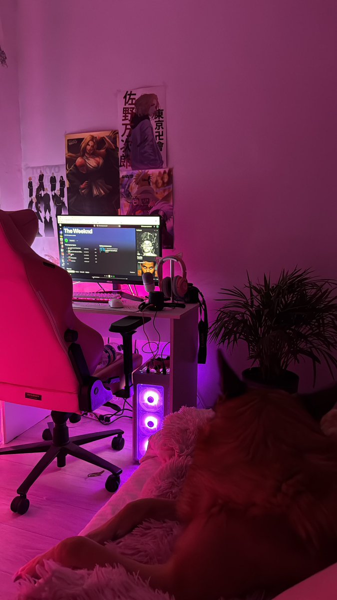 рептилоид tweet media