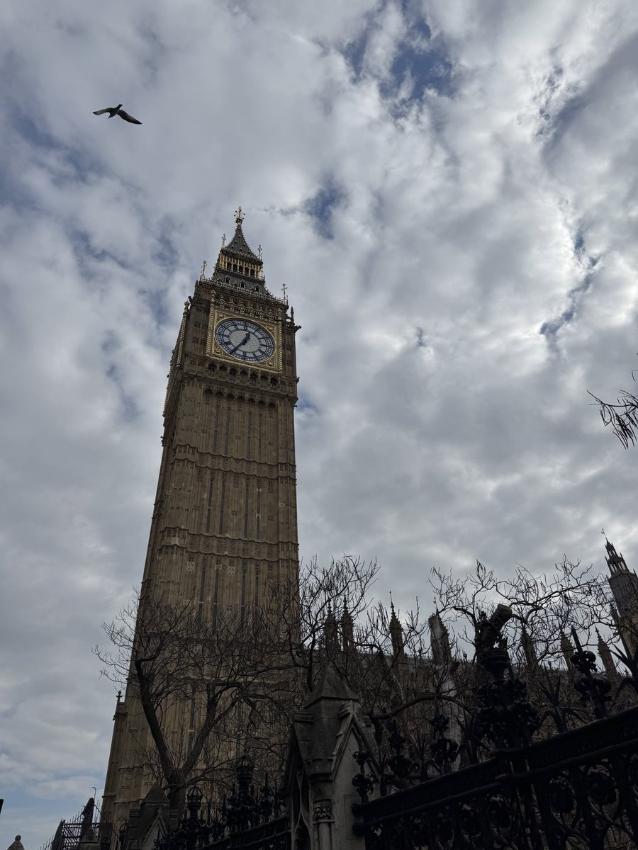 へす太郎 tweet media