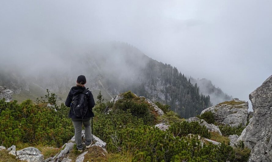 Diese Wanderung zu drei Gipfeln und dem Teufelstättkopf erfordert Trittsicherheit und Schwindelfreiheit  Wenn man dann noch besseres Wetter hat als wir, ist es eine echte Panoramatour.

wanderrattes-blog.de/2025/12/07/neb…

#alpen
#wanderrattesblog