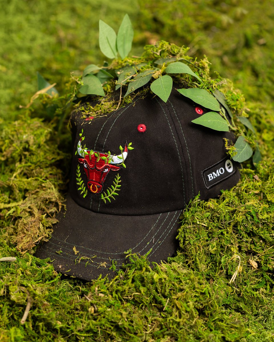 Chicago Bulls tweet media