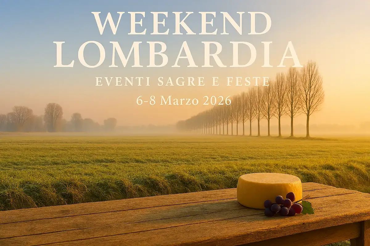 Weekendidea tweet media