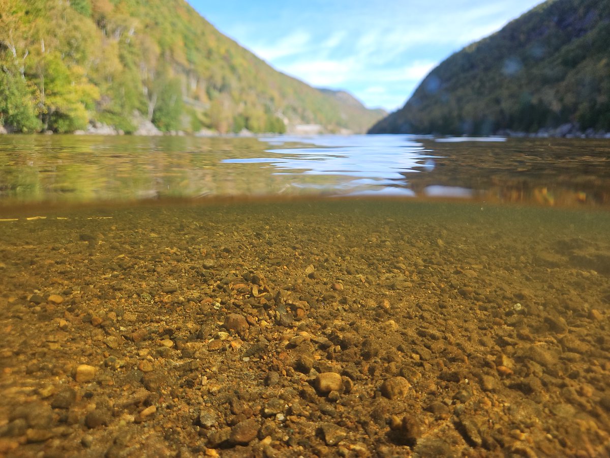 Ausable Freshwater Center tweet media