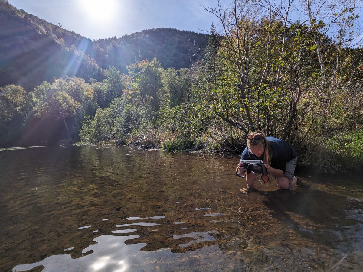 Ausable Freshwater Center tweet media