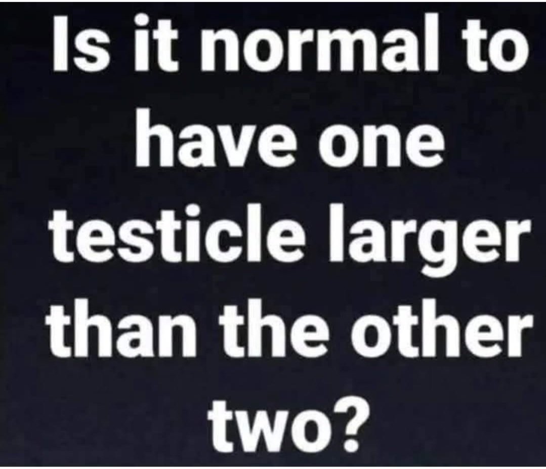 Andrew French - Author/Screenwriter tweet media