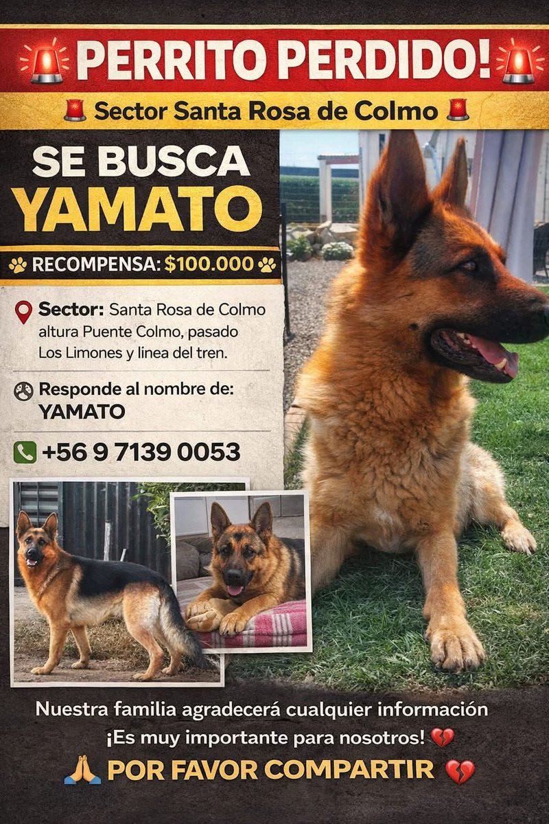 VIÑA, VALPO., CON- CON, QUINTERO  se BUSCA YAMATO 🙏🙏🙏