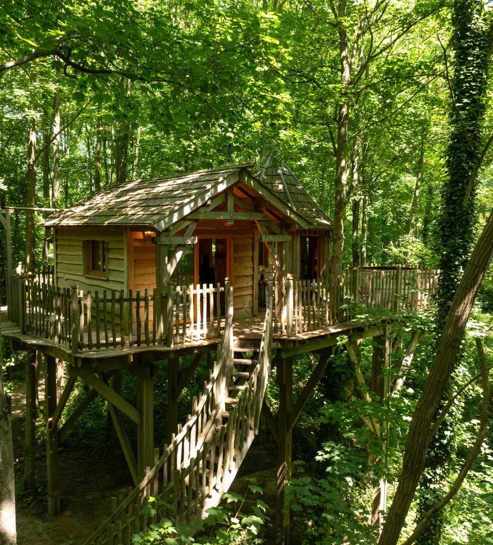 Fan_staracAnouk's tweet photo. #KohLanta Clémence a cru qu’elle Allait avoir une cabane comme ça semaine 1 : https://t.co/GZEdOrHV8f
