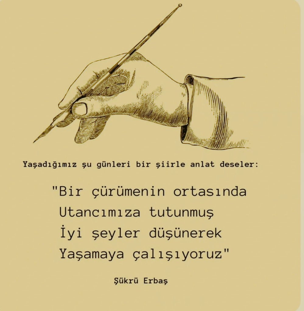 Cüneyt İltuş tweet media