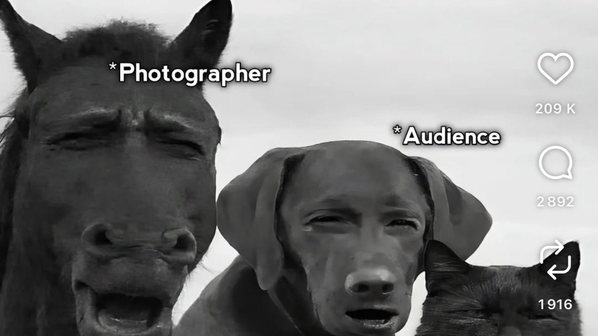 Fàamous Angel D'ar tweet media