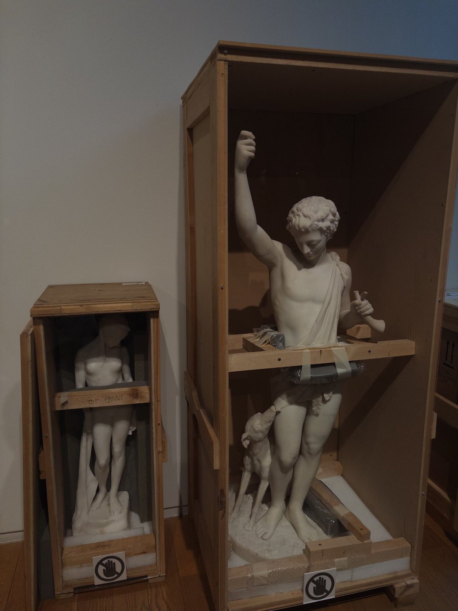 kitty cat tweet media