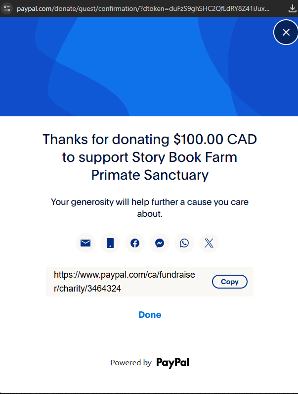 starqsdevv tweet media