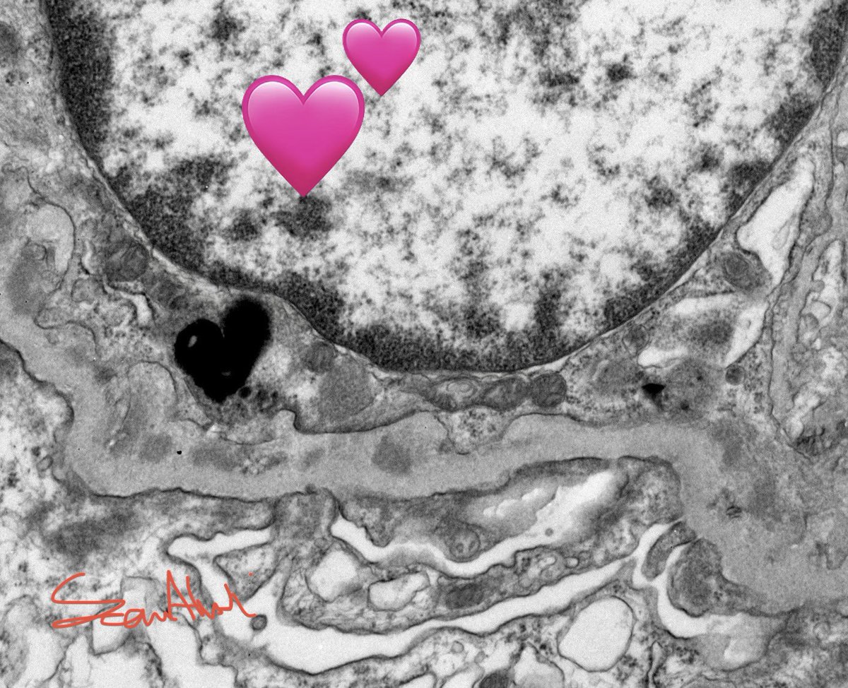 Sam Albadri, M.D., M.Sc. tweet media