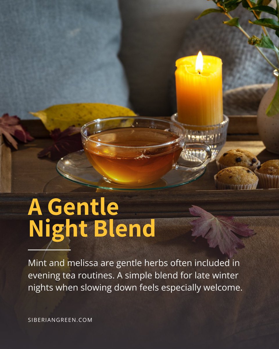 Late winter evenings invite a slower pace. ❄️ 

Dim light, fewer screens, and a warm cup in your hands. Mint and melissa have long been appreciated in evening herbal blends for their gentle presence. 

Sometimes rest begins before sleep. 🌿