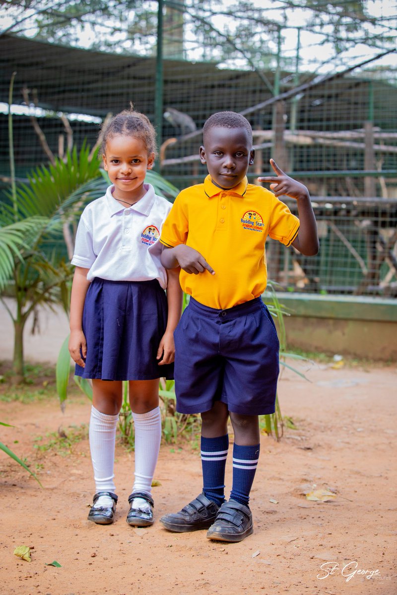 Budding Stars Junior School tweet media