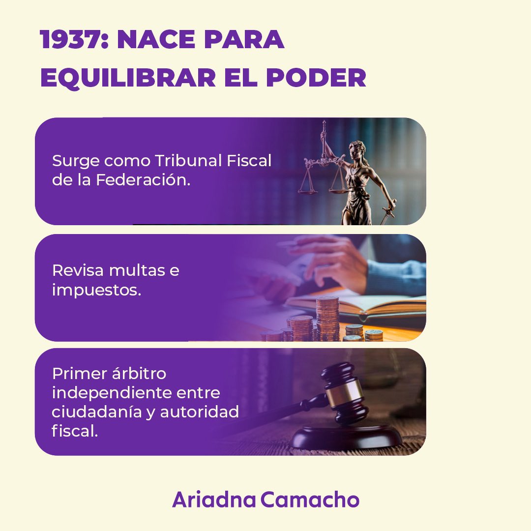 Ariadna Camacho C. tweet media