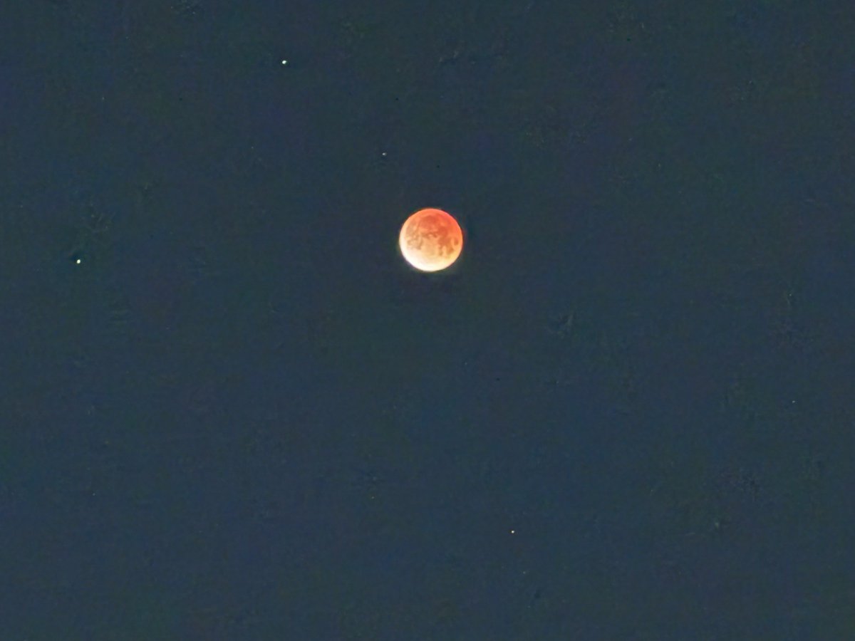 Super Video Game Land tweet media