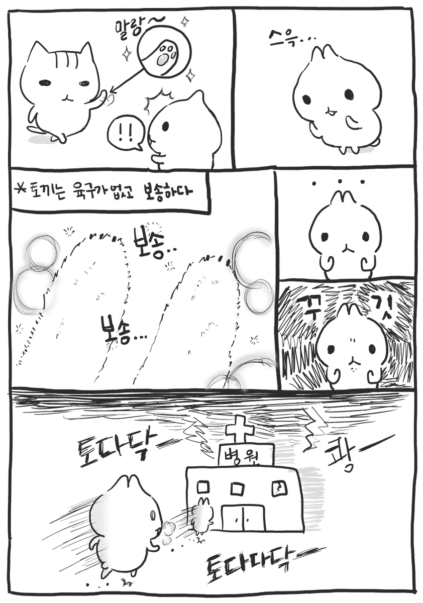 0x0_mofu's tweet photo. 환자분 토끼는 원래 육구가 없습니다 https://t.co/5jYuojeJRz