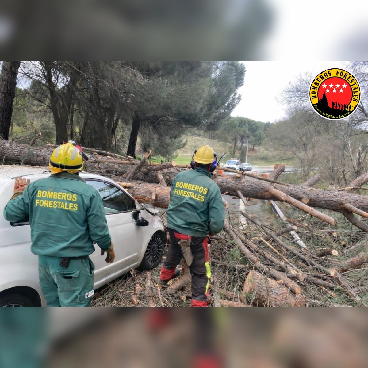 Bomberos Forestales Comunidad de Madrid tweet media