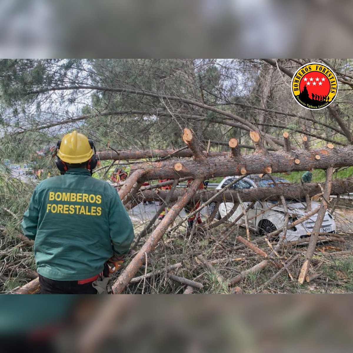 Bomberos Forestales Comunidad de Madrid tweet media