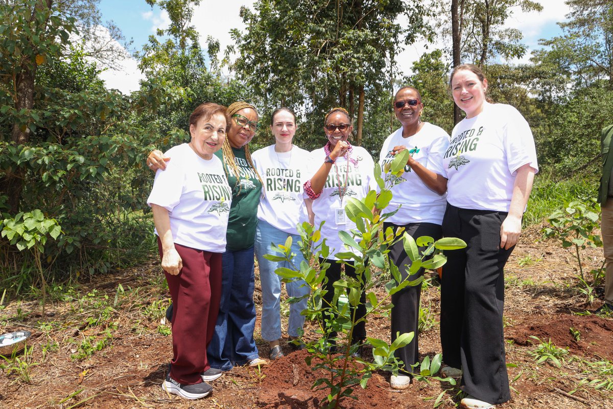 Akombe Foundation tweet media